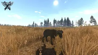 《问道》职业选择：从萌新到大佬，你的修仙之路怎么选？